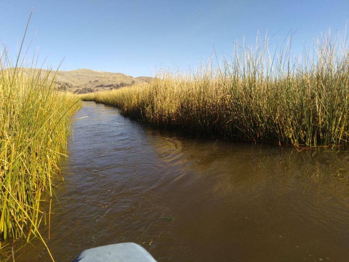 Titicaca Sariri